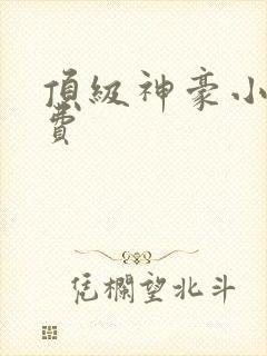 顶级神豪小说免费