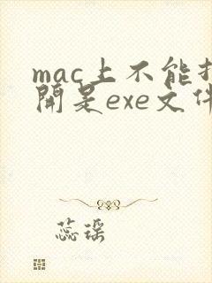 mac上不能打开是exe文件吗