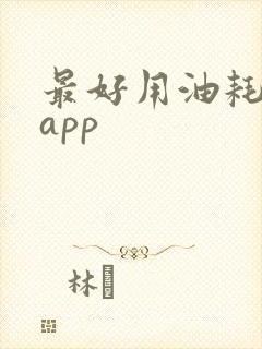 最好用油耗记录app