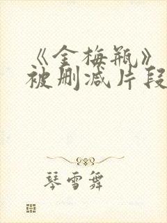 《金梅瓶》床戏被删减片段