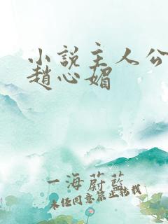 小说主人公陈斌赵心媚