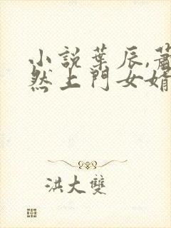 小说叶辰,萧初然上门女婿