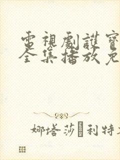 电视剧护宝寻踪全集播放免费观看