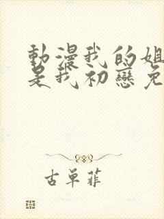 动漫我的姐姐不是我初恋免费观看