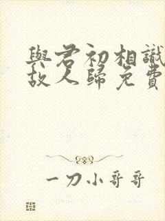 与君初相识恰似故人归免费观看全集