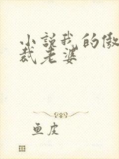 小说我的傲娇总裁老婆