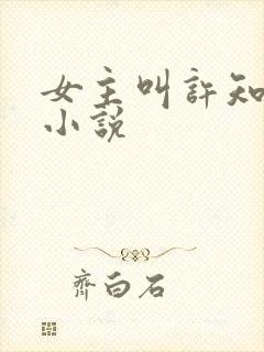 女主叫许知夏的小说