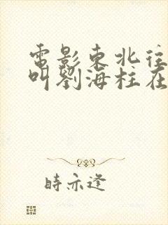 电影东北往事我叫刘海柱在线观看