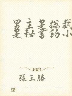 男主是总裁女主是秘书的小说