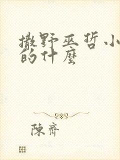 撒野巫哲小说讲的什么