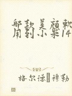 哪款美颜软件能用到小米14微信视频里