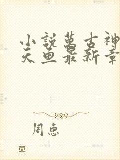 小说万古神帝飞天鱼最新章节阅读