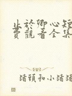 止于卿心短剧免费观看全集播放