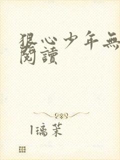 狠心少年无弹窗阅读