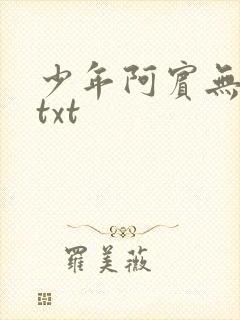 少年阿宾无删减txt