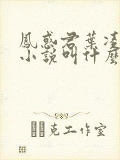 凤惑君叶凌天的小说叫什么