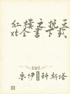 红楼之挽天倾txt全书下载