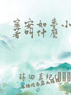 宁安如梦小说原著叫什么