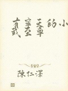 有宁天的小说医武至尊