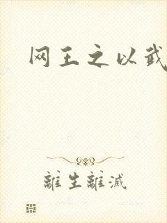 网王之以武入道