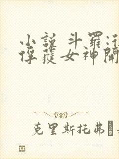 小说 斗罗:从俘获女神开始无敌