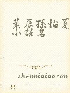 叶辰孙怡夏若雪小说名
