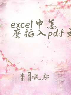 excel中怎么插入pdf文件