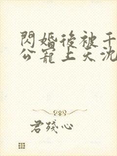 闪婚后被千亿老公宠上天沈沐