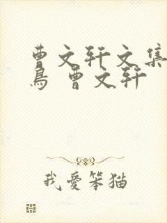 曹文轩文集:根鸟 曹文轩