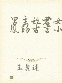 男主姓君女主姓凤的古言小说