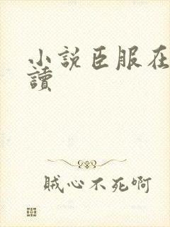 小说臣服在线阅读