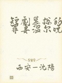 短剧慕总的隐婚罪妻温尔晚