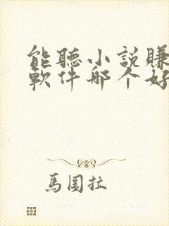 能听小说赚钱的软件哪个好