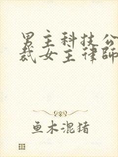 男主科技公司总裁女主律师的小说