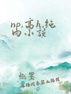 np,高h,纯肉小说