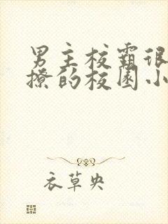 男主校霸很痞很撩的校园小说