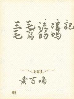 三毛流浪记是三毛写的吗