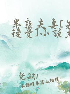 半熟夫妻[先婚后爱]小说免费阅读