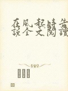 在风起时告别小说全文阅读