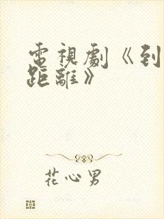 电视剧《到爱的距离》