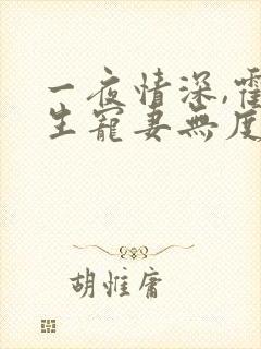 一夜情深,霍先生宠妻无度