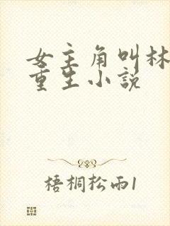 女主角叫林月的重生小说