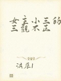 女主小三的小说三观不正