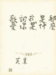 歌词我是那么的爱你是什么歌