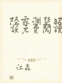 陆霖渊楚昭思小说免费阅读最新章节