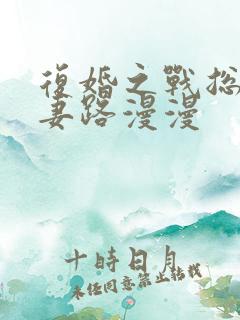 复婚之战总裁追妻路漫漫