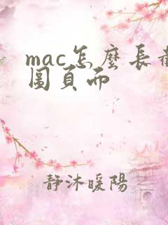 mac怎么长截图页面
