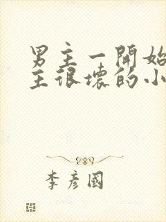 男主一开始对女主很坏的小说