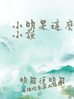 小明是这么死的小说