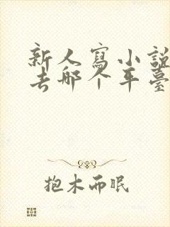 新人写小说应该去哪个平台